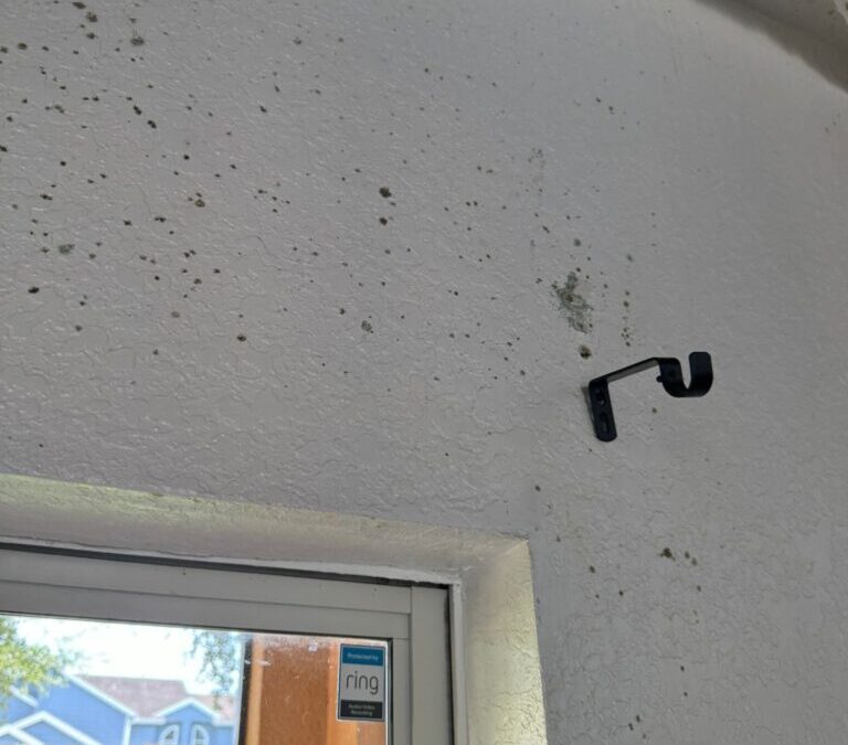 Project Completion Report – Handyman tech